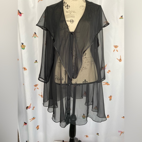 Sheer Black Button-Up Cardigan - Picture 1 of 7